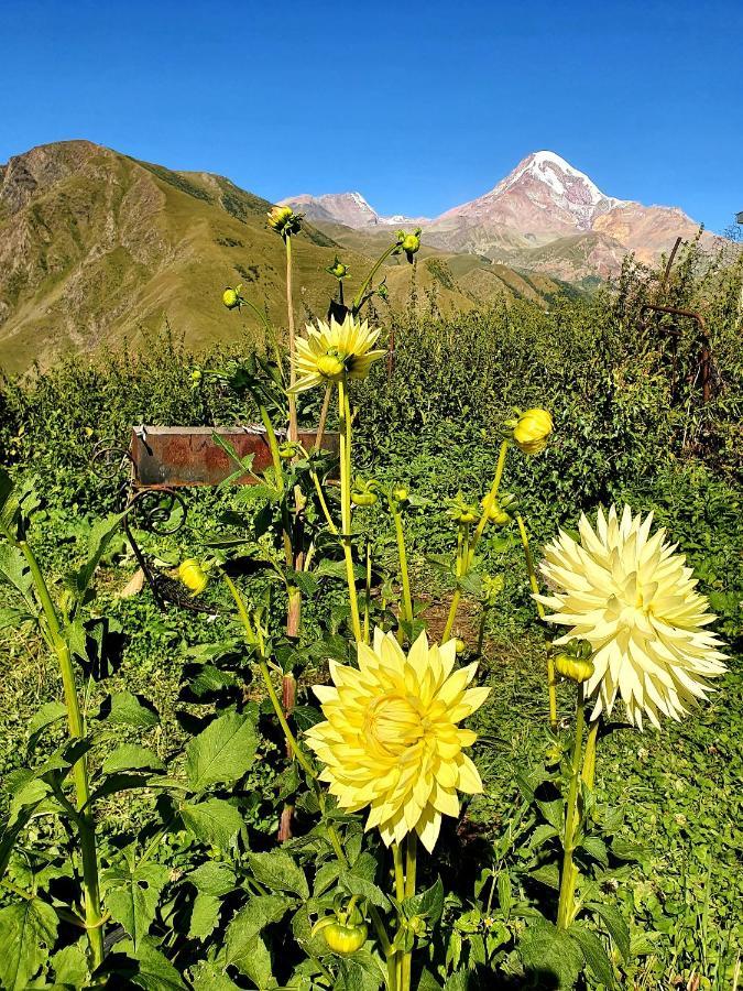 Nikolo Inn Kazbegi Ngoại thất bức ảnh